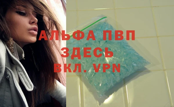 индика Рославль