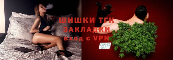 стафф Россошь