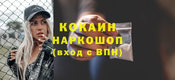 индика Рославль
