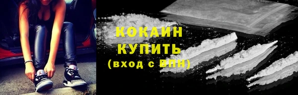 индика Рославль