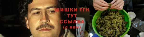 индика Рославль