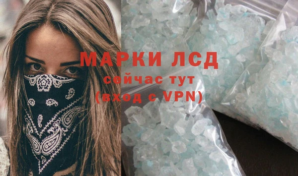 индика Рославль