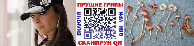 что такое omg ССЫЛКА Псилоцибиновые грибы ЛСД Мариинск