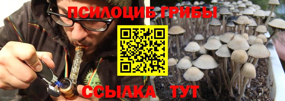 Галлюциногенные грибы мухоморы Мариинск