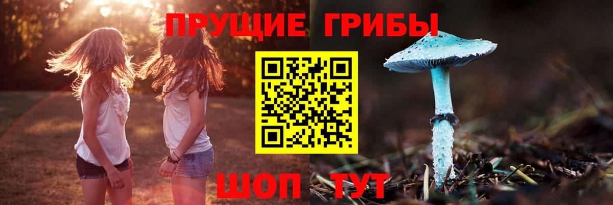 Мариинск  Псилоцибиновые грибы GOLDEN TEACHER  купить   Вход с VPN 